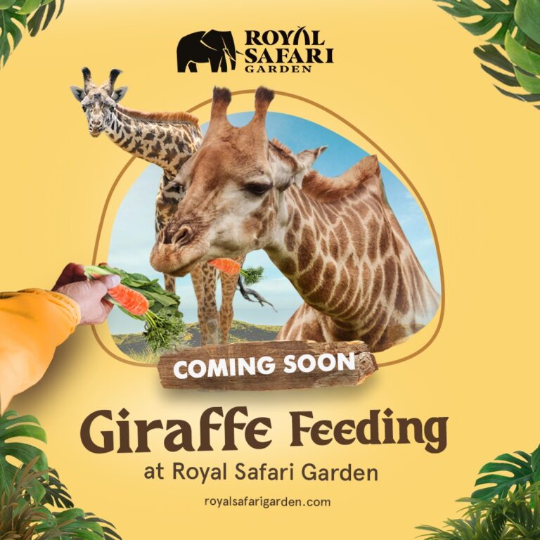 promo royal safari garden 2022